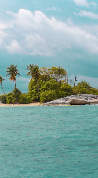 Tropical island with turquoise water and palm trees